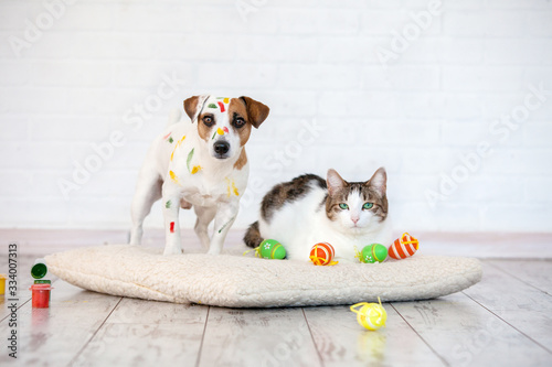 Photography Dog and cat with easter eggs