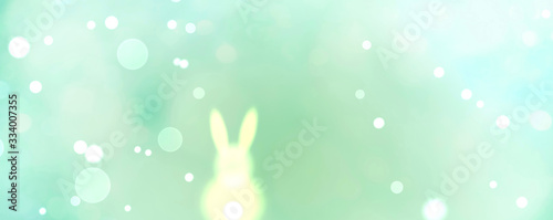 Abstract Easter background banner - Easter bunny on spring meadow with bokeh lights © S.H.exclusiv