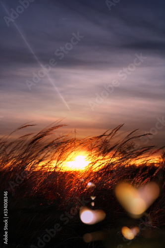 Zachód słońca na polu ze światłem w kształcie serc
