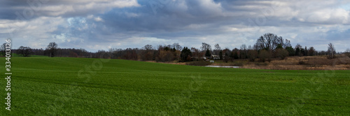 green meadow under cloudy sky on a summer day