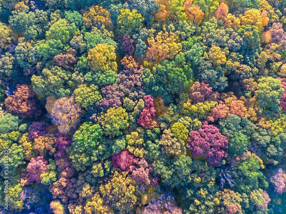 Fall is here Fall is here