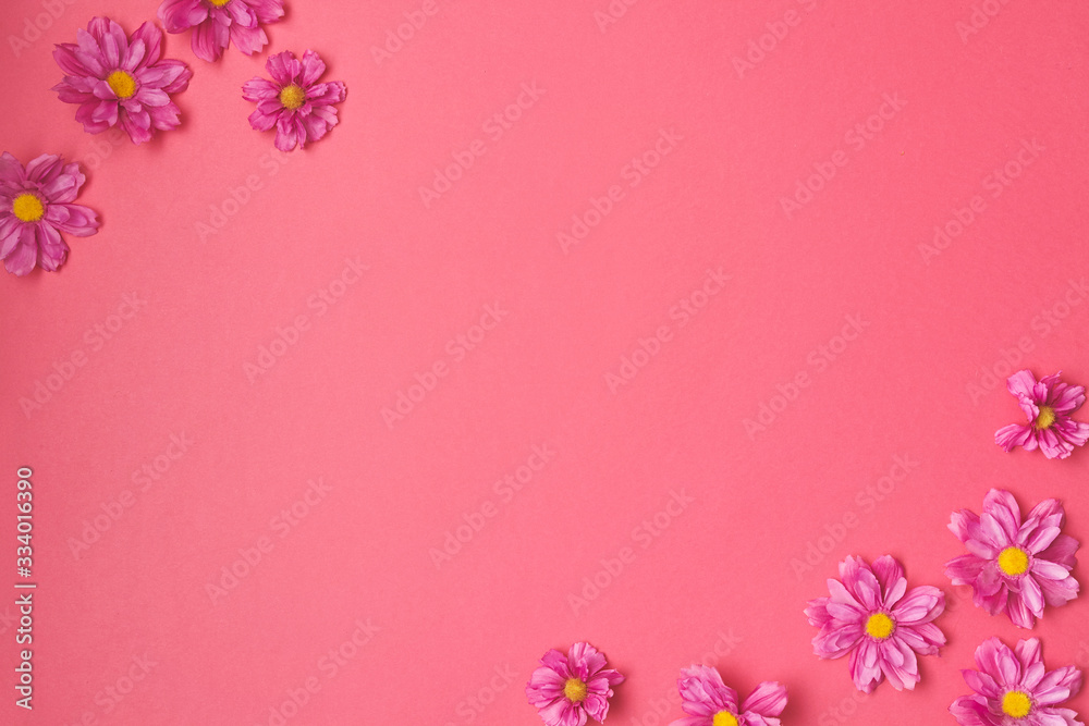 Flower composition on pink background. Copy space.