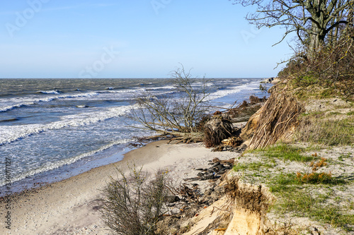 Fototapeta Naklejka Na Ścianę i Meble -  erosion of the Baltic Sea coast by strong winds