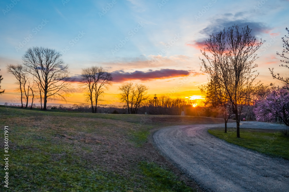 The Road Home