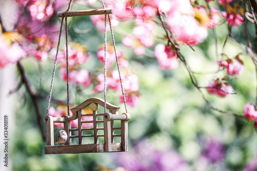 Spiringtime Blossoms photo