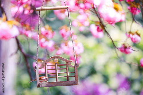 Spiringtime Blossoms photo