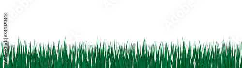 Realistic vector grass illustration from side view. Green lawn.