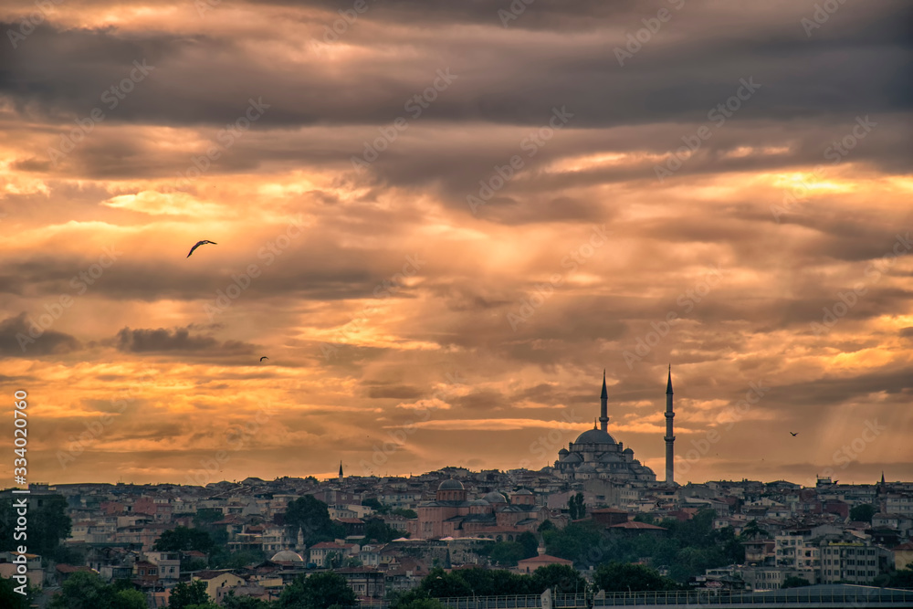 Suleymaniye Mosque and Istanbul skyline