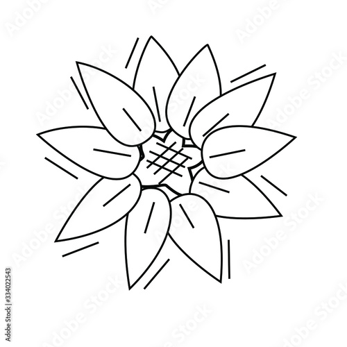 Sunflower line icon  outline vector sign  linear style pictogram isolated on white. Symbol  logo illustration. Editable stroke.Nature  botany  beauty  Flower concept.