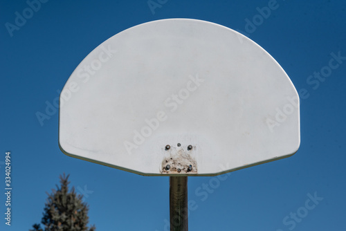 Photography White basketball backboard with blue sky and tree in background