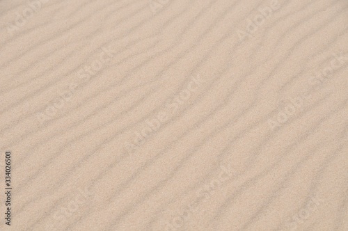 Dunes of the beaches of Valdevaqueros Tarifa in Cádiz