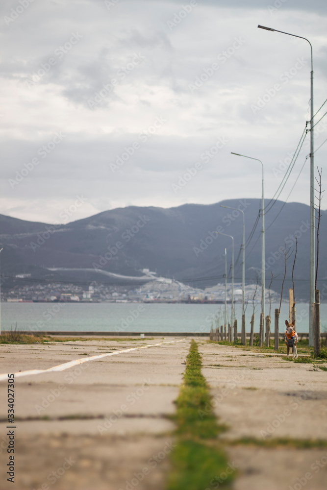 Walking by the sea