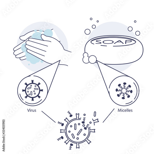 Hand washing with soap. Micelles. Hand wash infographics. Soap under the microscope. Personal Care. Combating the spread of coronavirus. EPS 10 vector illustration
