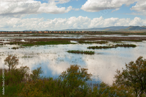 Vista parcial del Parque Nacional de las Tablas de Daimiel.