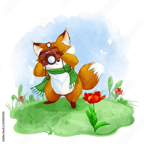 Cute fox takes pictures of a red tulip. Spring children`s vector illustration with watercolor texture.