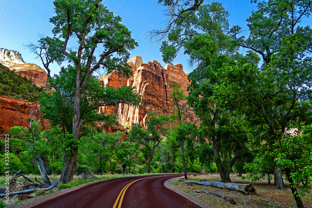 Obraz premium Zion National Park