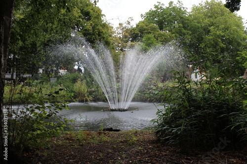 Una fuente de agua en un parque en una tarde de verano rodeado de naturaleza