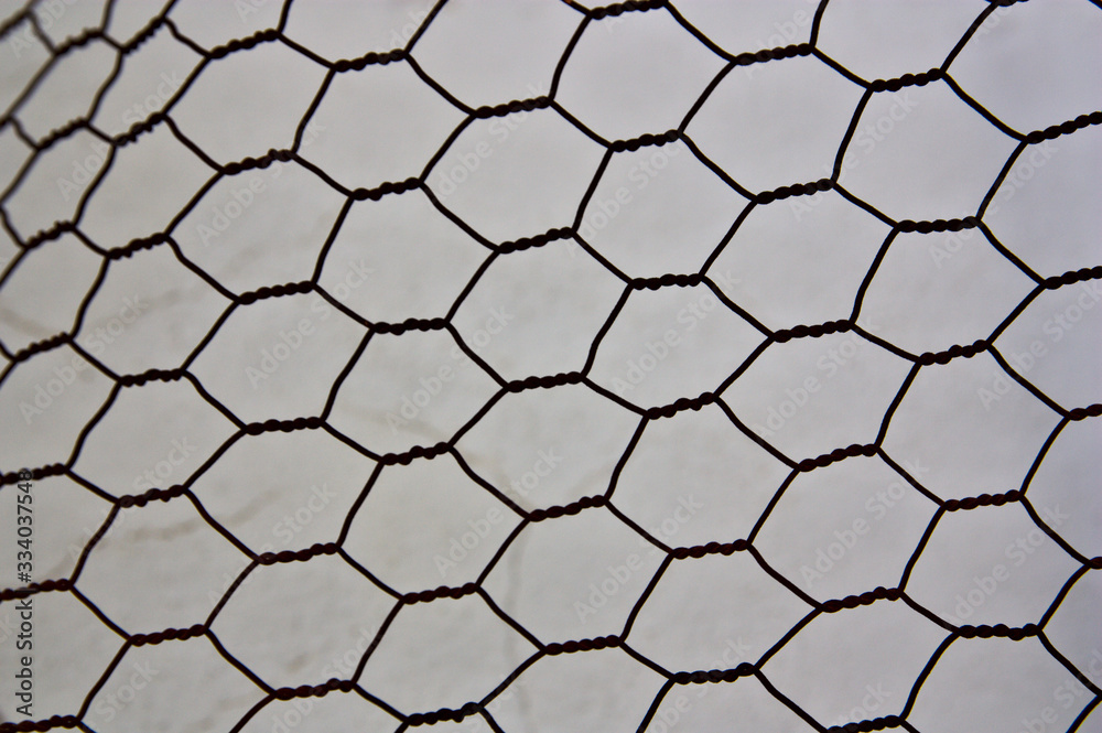 Naklejka premium Texture of a metal fence forming hexagons (chicken coop mesh)