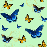 set of colorful butterflies
