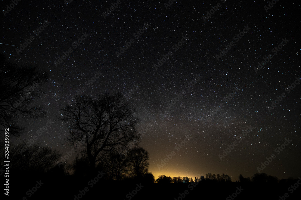 Landscape at night, sky full of stars with tree silhouette  (high ISO photography)
