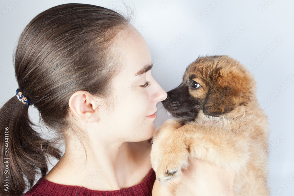 Golden retriever puppy in the arms of a teenage girl. Golden retriever puppy in the arms of a teenage girl.