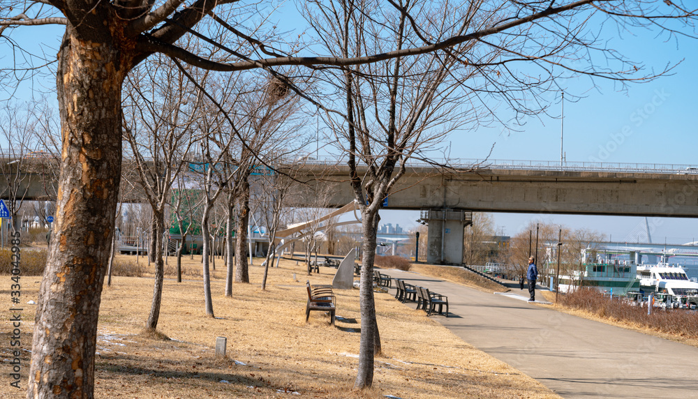 한강공원 길 Stock Photo | Adobe Stock