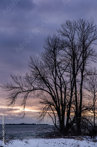 Silhouette of trees on shoreline of Lake Ontario Presquile Park Brighton Ontario Canada