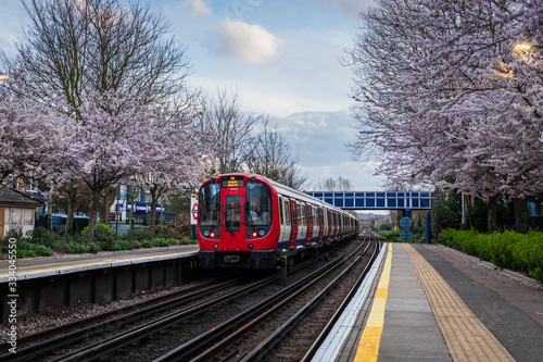 In March a train approaching kews gardens tube station in west London, UK. On both sides of the platform, cherry trees are blooming. photo