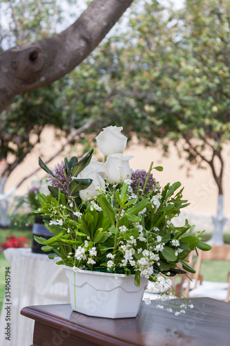 flor planta colores naturaleza rosa rosal gardenia 