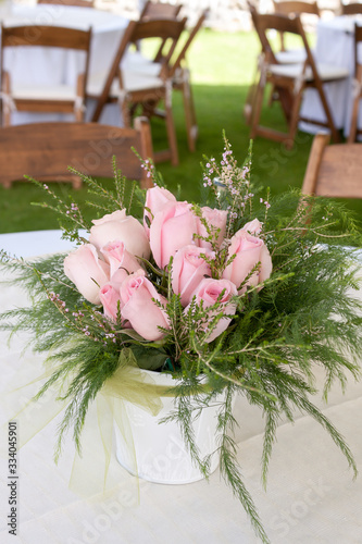 flor planta colores naturaleza rosa rosal gardenia 