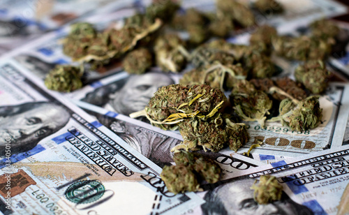 Investing in the Cannabis Industry