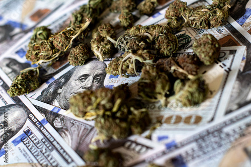 Investing in the Cannabis Industry