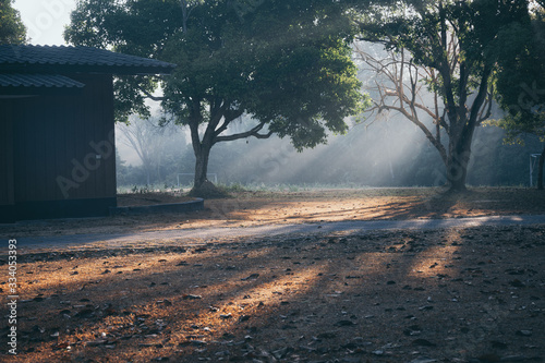 morning scene at Khao Yai n...