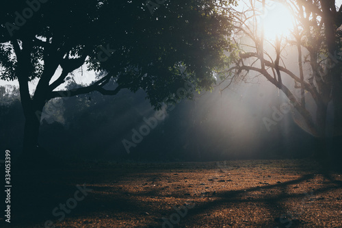 morning scene at Khao Yai n...