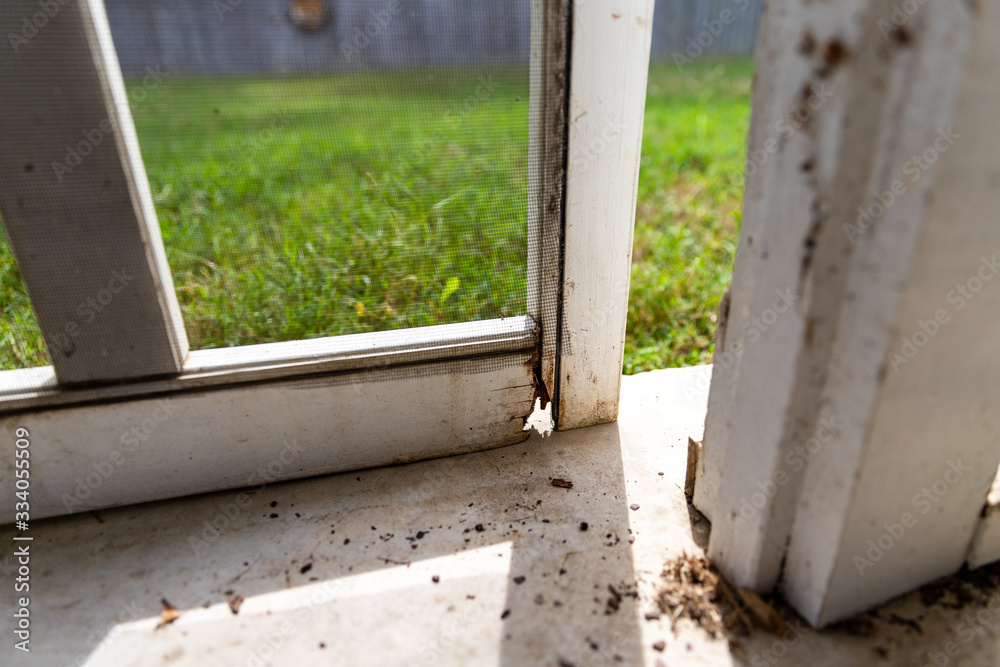 Close-up of damaged wood on exterior screen door of a porch, in need of repair. Close-up of damaged wood on exterior screen door of a porch, in need of repair.