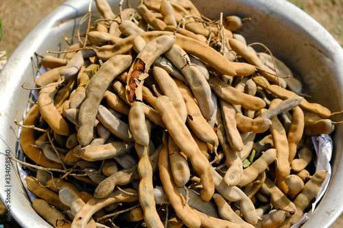 Bowl of fresh Tamarind in a village market, Bangladesh