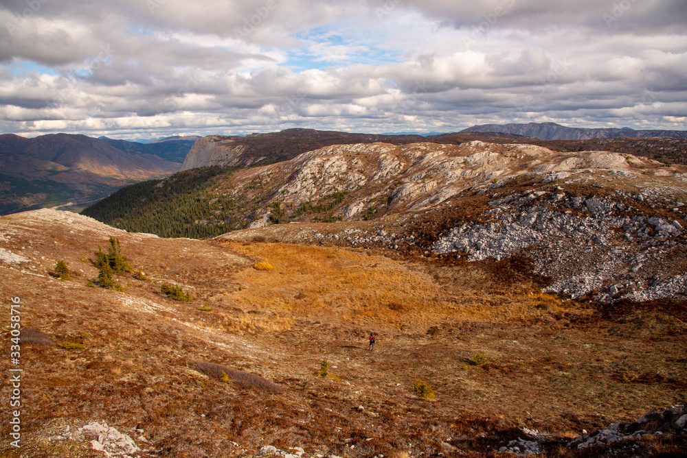 Hiking through the Yukon wilderness in the fall/autumn on top of Mount White near the British Columbia border. 
