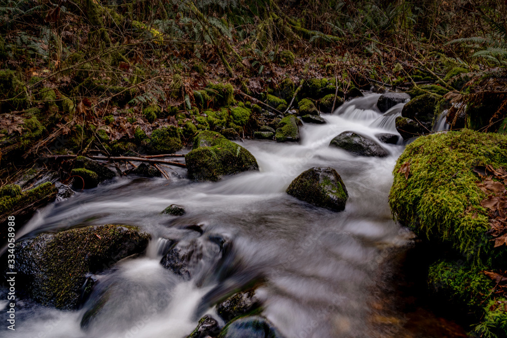 Fototapeta premium McDowell Creek Lebanon Oregon Cascade Range Waterfall