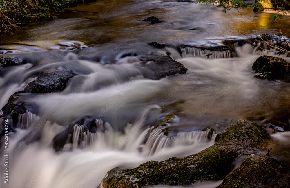 McDowell Creek Lebanon Oregon Cascade Range Forest McDowell Creek Lebanon Oregon Cascade Range Forest