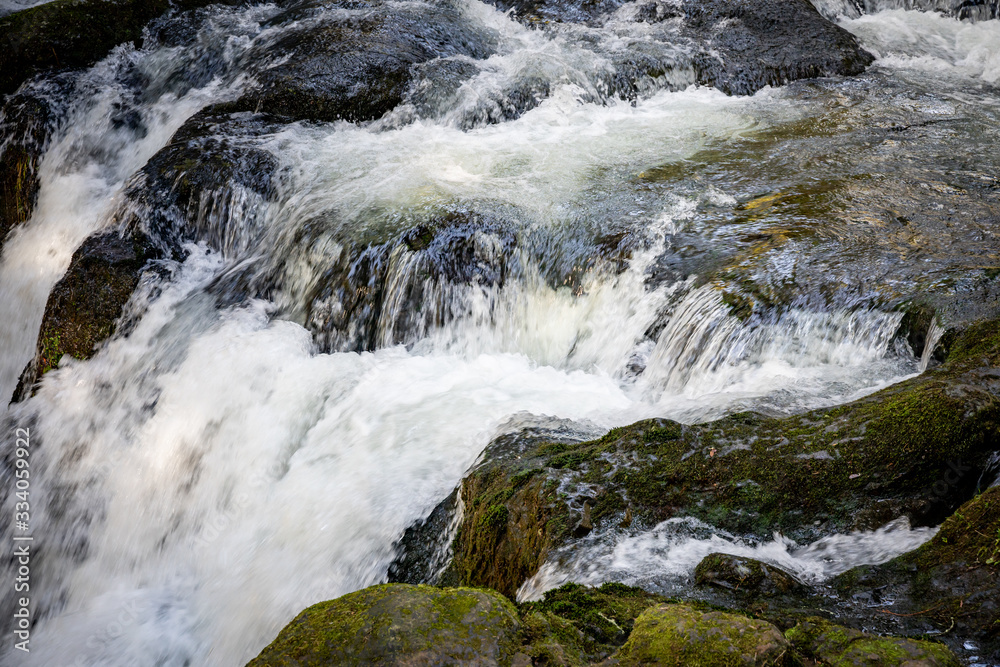 McDowell Creek Lebanon Oregon Cascade Range Forest McDowell Creek Lebanon Oregon Cascade Range Forest