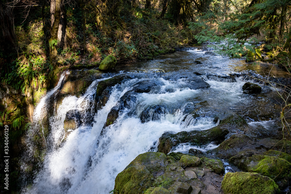 McDowell Creek Lebanon Oregon Cascade Range Forest