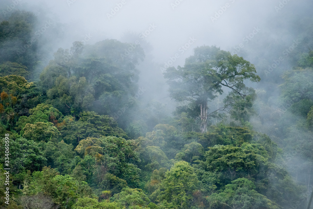 Naturaleza en Costa Rica 