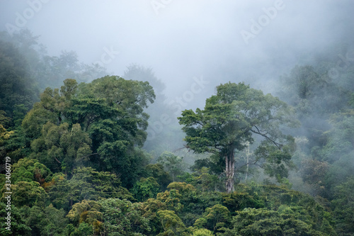 Naturaleza en Costa Rica  © Cristofer