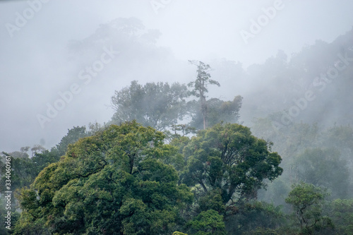 Naturaleza en Costa Rica 