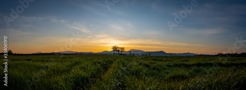 Sunset over grass field Mary's Peak Oregon Willamette Valley
