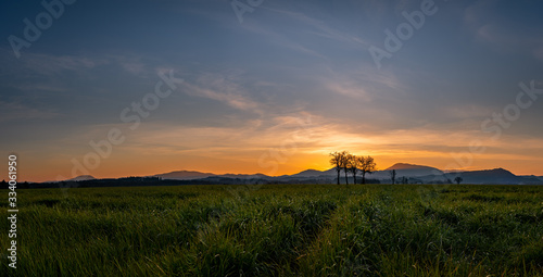 Sunset over grass field Mary's Peak Oregon Willamette Valley