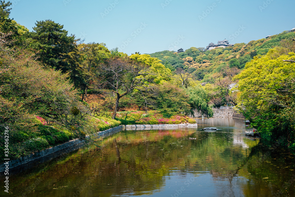 Matsuyama castle and green forest park in Matsuyama, Shikoku, Japan
