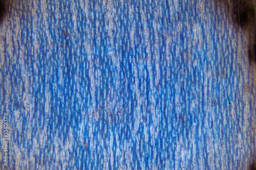 textura detalle madera metal tela color macrofotografía microfotografía