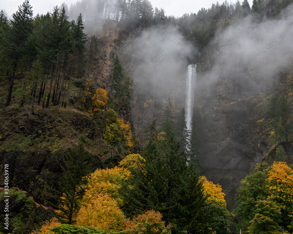 Long exposure of aMultnomah waterfalls, Oregon, USA, in the Autumn, featuring yellow colors and coniferous trees in the fog Long exposure of aMultnomah waterfalls, Oregon, USA, in the Autumn, featuring yellow colors and coniferous trees in the fog