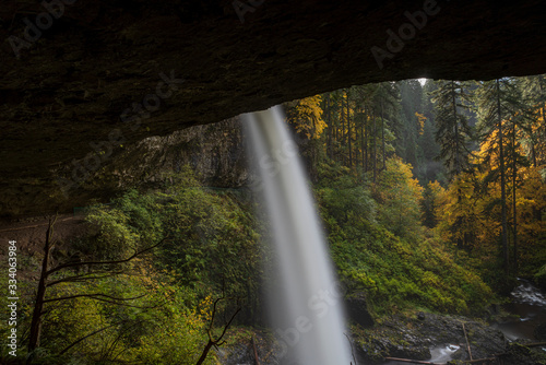 Long exposure of a waterfall at Silver Falls State Park, Silverton, Oregon, USA, in the Autumn, viewed from behind, featuring yellow and orange colors and coniferous trees in the fog
